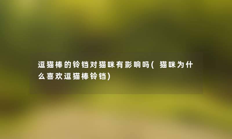 逗猫棒的铃铛对猫咪有影响吗(猫咪为什么喜欢逗猫棒铃铛)