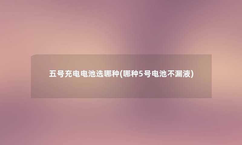 五号充电电池选哪种(哪种5号电池不漏液)