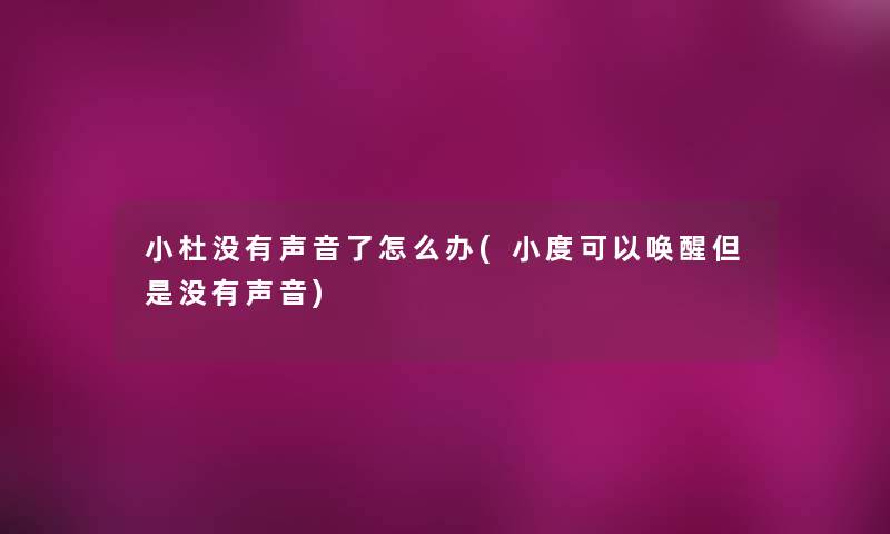 小杜没有声音了怎么办(小度可以唤醒但是没有声音)