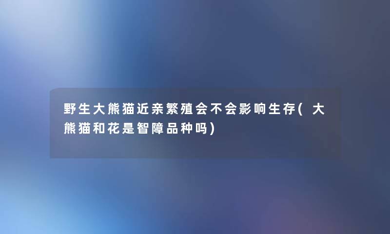 野生大熊猫近亲繁殖会不会影响生存(大熊猫和花是智障品种吗)