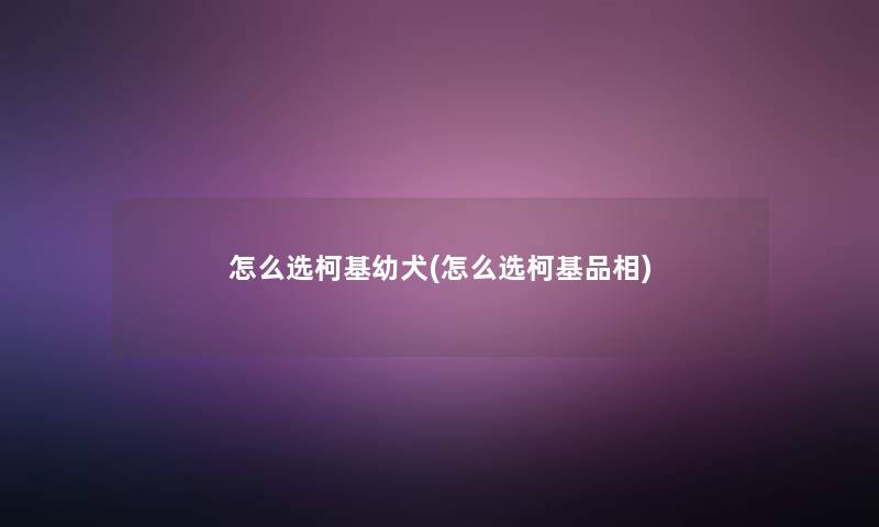 怎么选柯基幼犬(怎么选柯基品相)