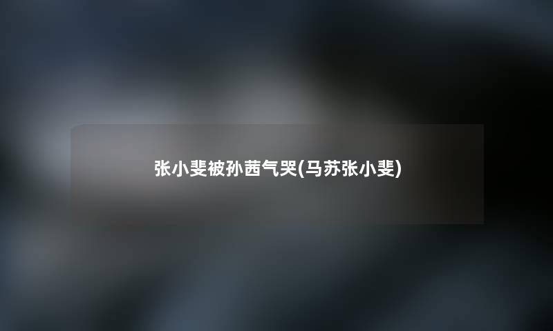 张小斐被孙茜气哭(马苏张小斐)