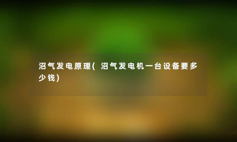 沼气发电原理(沼气发电机一台设备要多少钱)