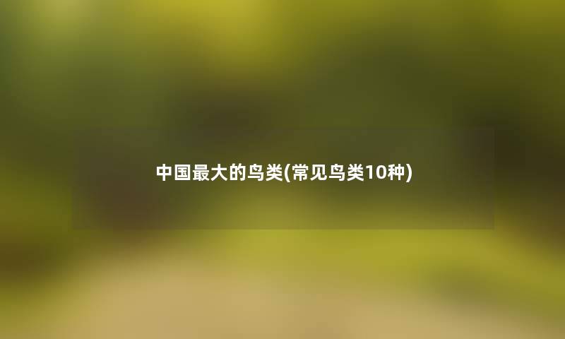 中国大的鸟类(常见鸟类10种)